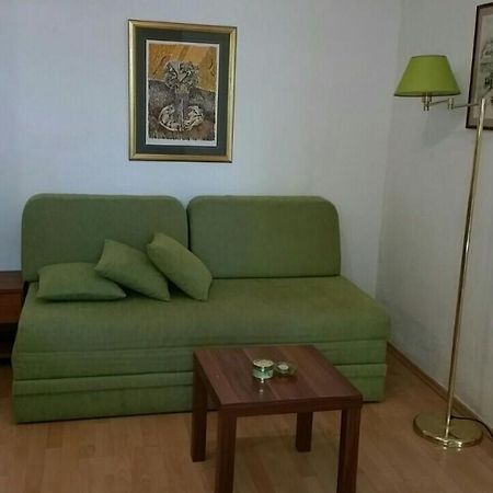 Kuca Skrabic Apartment Baska Voda Bagian luar foto